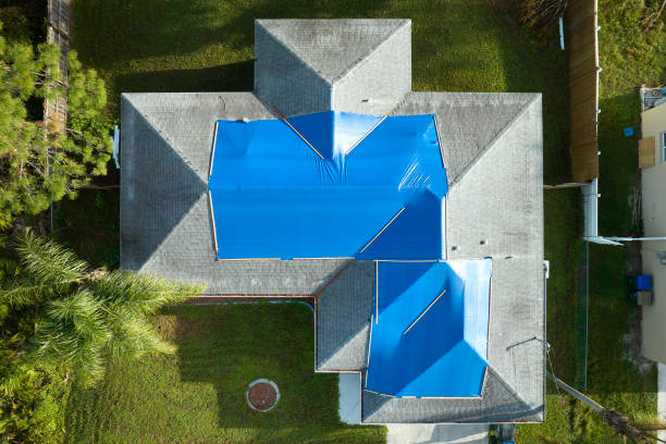 Best Green or Eco-Friendly Roofing Solutions  in Casselberry, FL