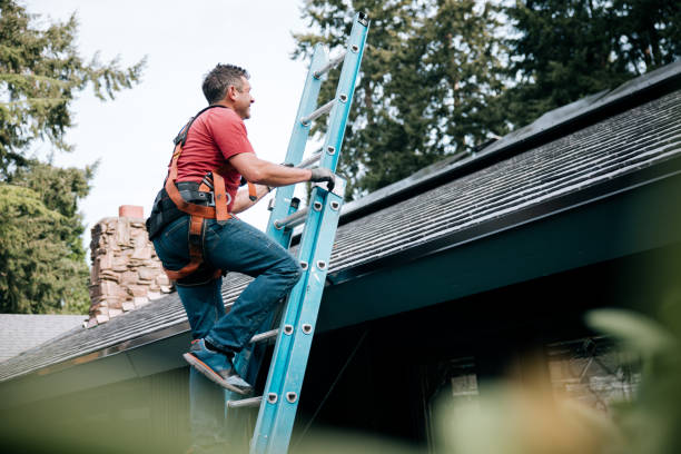 Emergency Roof Repair in Casselberry, FL